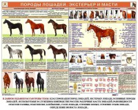 Комплект плакатов "Служебное коневодство" - fgospostavki.ru - Томск