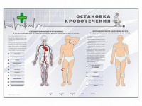 Электрифицированный стенд "Остановка кровотечения" - fgospostavki.ru - Томск