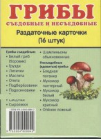 Раздаточные карточки "Грибы съедобные и не съедобные" - fgospostavki.ru - Томск