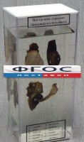 Влажный препарат "Внутреннее строение брюхоногого моллюска" - fgospostavki.ru - Томск
