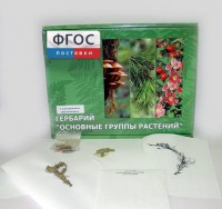 Гербарий "Основные группы растений" (52 листа) - fgospostavki.ru - Томск