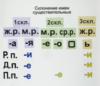 Набор магнитных карточек "Склонение имен существительных" - fgospostavki.ru - Томск