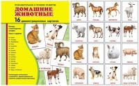 Демонстрационные карточки "Домашние животные" - fgospostavki.ru - Томск
