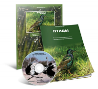 Электронное наглядное пособие «Птицы» - fgospostavki.ru - Томск