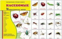 Демонстрационные карточки "Насекомые" - fgospostavki.ru - Томск