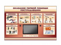 Многофункциональный интерактивный стенд-тренажер "Оказание первой помощи пострадавшим" для учащихся общеобразовательных учреждений - fgospostavki.ru - Томск
