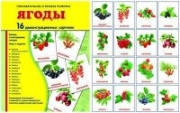 Демонстрационные карточки "Ягоды" - fgospostavki.ru - Томск