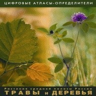 Растения средней полосы России "Травы и Деревья". (Цифровые атласы-определители) - fgospostavki.ru - Томск