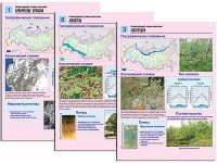 Комплект таблиц по географии "Природные зоны России" раздаточные (цветные, ламинированные, А4, 10 штук) - fgospostavki.ru - Томск