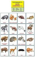 Раздаточные карточки "Дикие животные (1)" - fgospostavki.ru - Томск