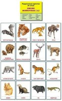 Раздаточные карточки "Дикие животные (2)" - fgospostavki.ru - Томск
