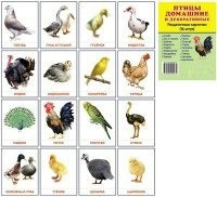 Раздаточные карточки "Птицы домашние и декоративные" - fgospostavki.ru - Томск