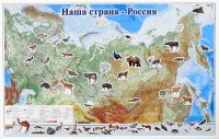 Магнитные карточки "Животные" - fgospostavki.ru - Томск