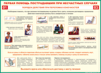 Таблица "Порядок действий при переломах конечностей" (100х140 сантиметров, винил) - fgospostavki.ru - Томск