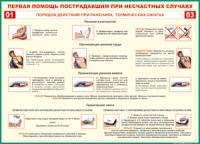 Таблица "Порядок действий при ранениях и термических ожогах" (100х140 сантиметров, винил) - fgospostavki.ru - Томск