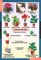 Комплект таблиц. Окружающий мир 1 класс. - fgospostavki.ru - Томск