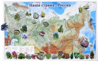 Магнитные карточки "Растения" - fgospostavki.ru - Томск