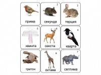 Набор магнитных карточек по музыке "Животные" (9 штук) - fgospostavki.ru - Томск