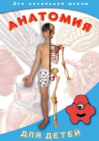 DVD "Анатомия для детей" - fgospostavki.ru - Томск