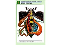 Рельефная таблица "Внутреннее строение жука" (формат А1, матовое ламинирование) - fgospostavki.ru - Томск