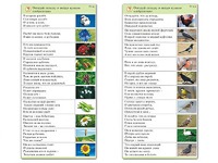 Комплект карточек (10) "Обучающий калейдоскоп. Природа" - fgospostavki.ru - Томск