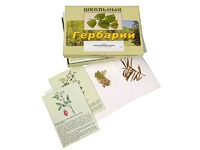 Гербарий "Для начальной школы" (30 видов, с иллюстрациями) - fgospostavki.ru - Томск