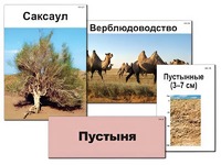 Модель-аппликация "Природные зоны России" (ламинированная) - fgospostavki.ru - Томск