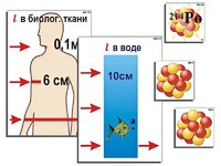 Модель-аппликация "Явление радиоактивности" (ламинированная) - fgospostavki.ru - Томск