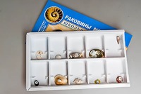 Коллекция "Раковины моллюсков" - fgospostavki.ru - Томск