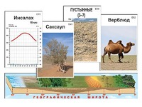 Модель-аппликация "Природные зоны" - fgospostavki.ru - Томск