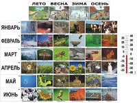 Фенологические наблюдения - fgospostavki.ru - Томск
