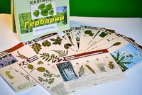 Гербарий к курсу основ общей биологии - fgospostavki.ru - Томск