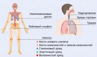 Интерактивные курсы. Биология 9 класс. Базовый. - fgospostavki.ru - Томск