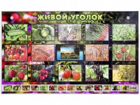 Комплект оборудования "Живой уголок" (растения) с тифлопереводом и сурдокомментариями - fgospostavki.ru - Томск