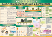 Таблица "Биотические взаимоотношения организмов" (100х140 сантиметров, винил) - fgospostavki.ru - Томск