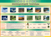 Таблица "Экология. Обобщающие таблицы" (100х140 сантиметров, винил) - fgospostavki.ru - Томск