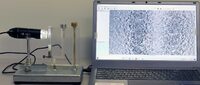 Лабораторная установка «Определение коэффициента взаимной диффузии воздуха и водяного пара»  - fgospostavki.ru - Томск