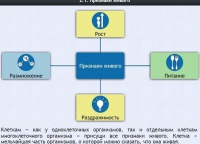 Интерактивные курсы. Биология 5 класс. Базовый - fgospostavki.ru - Томск