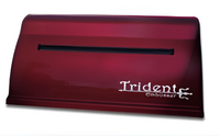 Принтер для печати рельефно-точечным шрифтом Брайля Trident - fgospostavki.ru - Томск