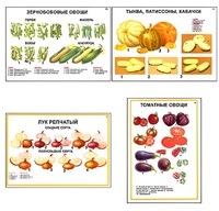 Плакаты ПРОФТЕХ "Ассортимент овощных культур" (12 пл, винил, 70х100) - fgospostavki.ru - Томск