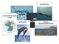 Модель-аппликация "Океаны. Знакомство" (ламинированная) - fgospostavki.ru - Томск