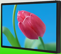 Киоск информационный настенный сенсорный 27" (вариант 2) - fgospostavki.ru - Томск
