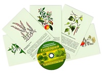 Интерактивный наглядный комплекс "Гербарий "Для начальной школы" - fgospostavki.ru - Томск