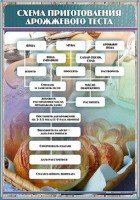 Стенд "Схема приготовления дрожжевого теста" - fgospostavki.ru - Томск