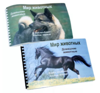 Пособие для слабовидящих - Домашние животные - fgospostavki.ru - Томск