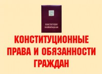 Комплект плакатов "Конституционные права и обязанности граждан" - fgospostavki.ru - Томск