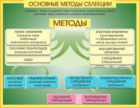 Стенд "Методы селекции и биотехнологии" - fgospostavki.ru - Томск