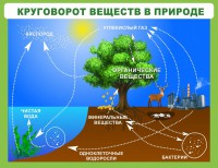 Стенд "Круговорот веществ" - fgospostavki.ru - Томск