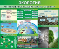 Стенд "Экология. Антропогенное воздействие на биосферу" - fgospostavki.ru - Томск