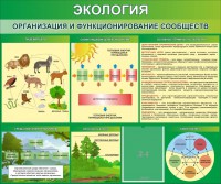 Стенд "Экология. Организация и функционирование сообществ" - fgospostavki.ru - Томск